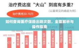 医疗保险出险次数查询指南，全面解析与操作指南