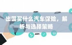 出国购车保险指南，解析与选择策略