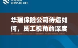 华瑞保险公司员工待遇深度解析，员工视角探讨揭秘公司福利待遇内幕