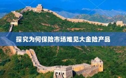 大金险产品在保险市场的稀缺原因探究