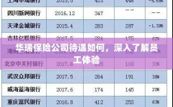 华瑞保险公司员工待遇与体验深度解析