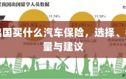 出国购车保险指南，选择、考量与推荐方案