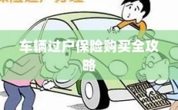 车辆过户保险购买指南，全攻略概览