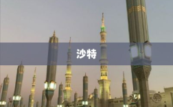 中企沙特蓝海寻金，王室洞察与打破低价刻板印象专访中欧国际工商学院马志德教授揭秘策略之道