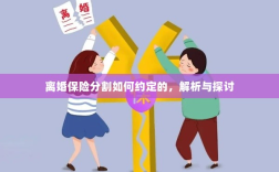 离婚保险分割约定详解，解析与探讨
