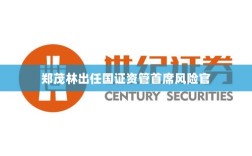 郑茂林担任国证资管首席风险官，新职务展望与风险管理挑战