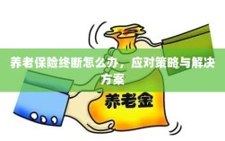 养老保险中断应对指南，解决方案与策略