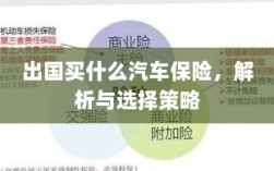 出国购车保险指南，解析与选择策略