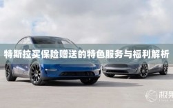 特斯拉保险赠品特色服务与福利深度解析