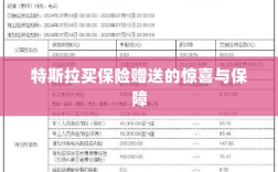 特斯拉保险赠品，惊喜与全方位保障