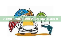 如何明智选择汽车保险策略，保障全面且保费实惠的保险推荐