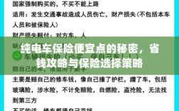 纯电车保险省钱攻略，如何挑选更便宜的保险与保险选择策略