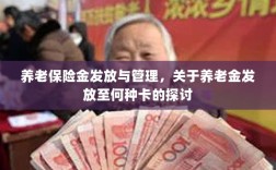养老保险金发放与管理，关于养老金发放至哪种卡的深度探讨