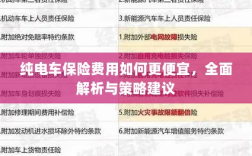 如何降低纯电车保险费用，全面解析及策略建议