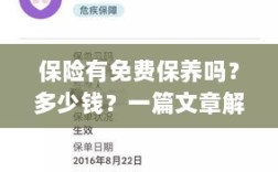 保险与保养关联解析，免费保养政策及费用探讨