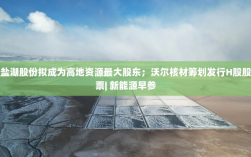 盐湖股份拟成高地资源最大股东，沃尔核材筹划发行H股，新能源领域早间快讯
