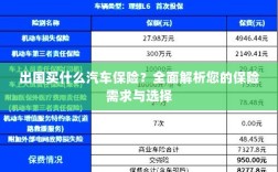 全面解析，出国购车保险需求与选择指南