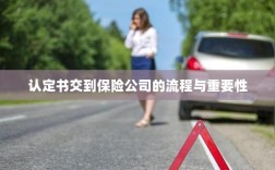 认定书交到保险公司的流程及其重要性概述