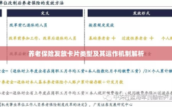 养老保险发放卡片类型与运作机制深度解析