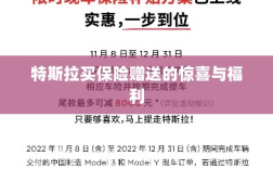 特斯拉保险购买赠品与惊喜福利概述