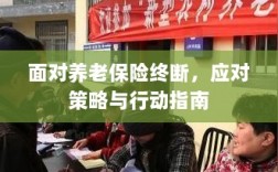 养老保险中断危机，应对策略与行动指南