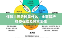全面解析，保险主要险种及其重要性介绍