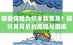 陶瓷保险普及困境，探究其原因与挑战