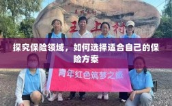 如何挑选适合自己的保险方案，保险领域深度解析