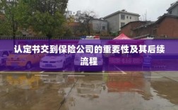 认定书对保险公司的重要性及后续流程详解