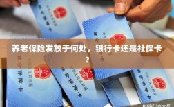 养老保险发放方式解析，银行卡还是社保卡？