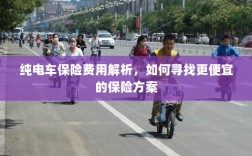 纯电车保险费用解析，如何获取更经济的保险方案？