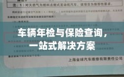 车辆年检与保险查询，一站式解决方案解析