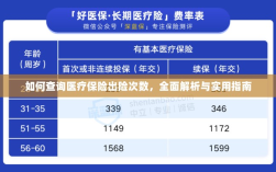 医疗保险出险次数查询指南，全面解析与实用查询方法