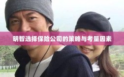 明智选择保险公司的策略及考量要素解析