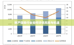 财产保险行业风险与机遇的评估策略