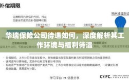 华瑞保险公司待遇深度解析，工作环境与福利待遇探讨
