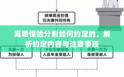 离婚保险分割的约定内容与注意事项解析