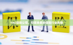 TAC保险公司，引领保险行业未来先锋