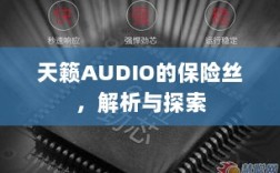 天籁AUDIO保险丝解析与探索