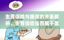 生育保险与医保关系解析，生育保险是否归入医保范畴？