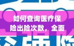 医疗保险出险次数查询指南，全面解析与实用查询方法