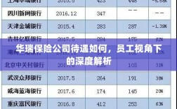 华瑞保险公司员工待遇深度解析，员工视角探讨福利待遇
