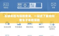 一站式了解车辆年检与保险查询，轻松掌握车辆保险及年检信息