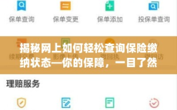 揭秘网上查询保险缴纳状态秘籍，保障一目了然