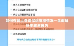 网上查询保险缴纳情况全攻略，步骤与技巧详解