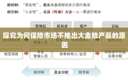 探究保险市场未推出大金险产品的原因分析