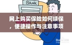 网上保险续保攻略，便捷操作及注意事项