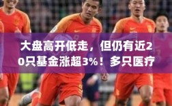 基金市场走势分析，近20只基金涨幅超3%，医疗主题产品领跌大盘高开低走趋势