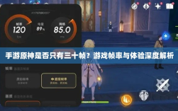 手游原神是否只有三十帧？游戏帧率与体验深度解析