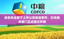 知名央企旗下上市公司举报事件，已向相关部门正式提交声明